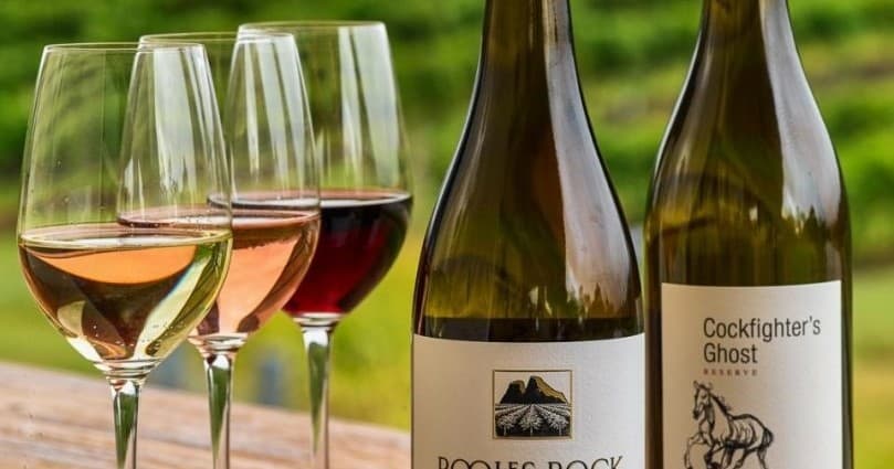 Private Wine Tour & Picnic with Skyline Aviation Group