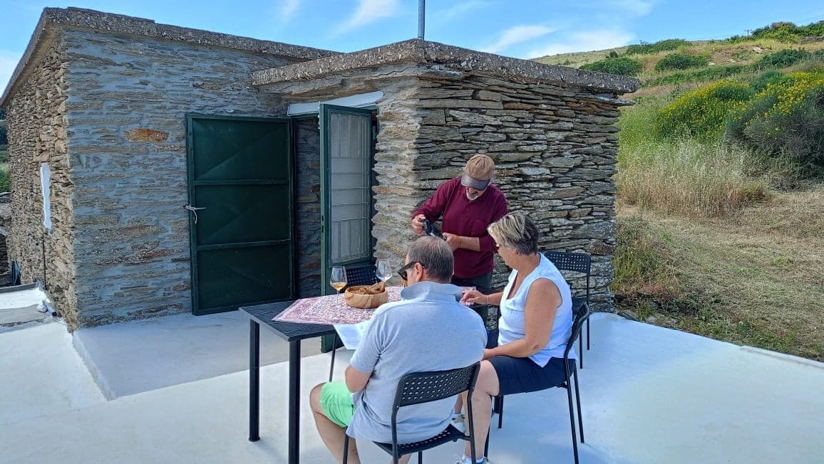 Andros Half-Day: Panachradou Monastery and Stratis Vineyard Wine Tasting photo 2