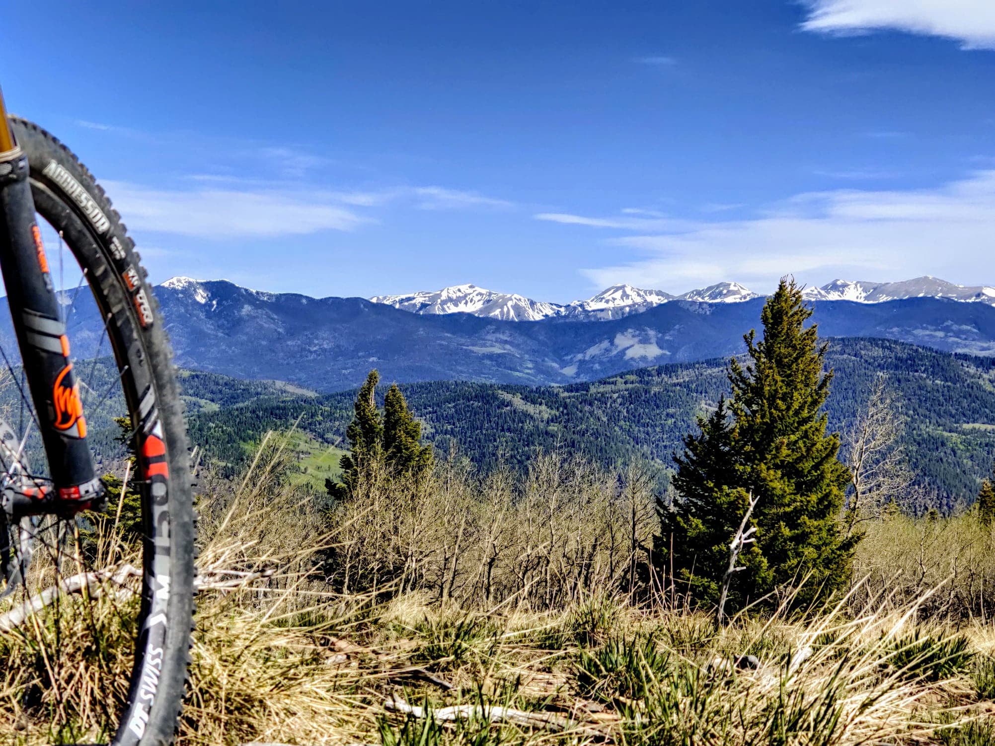Mountain Biking with Shuttle Taos in Taos, New Mexico