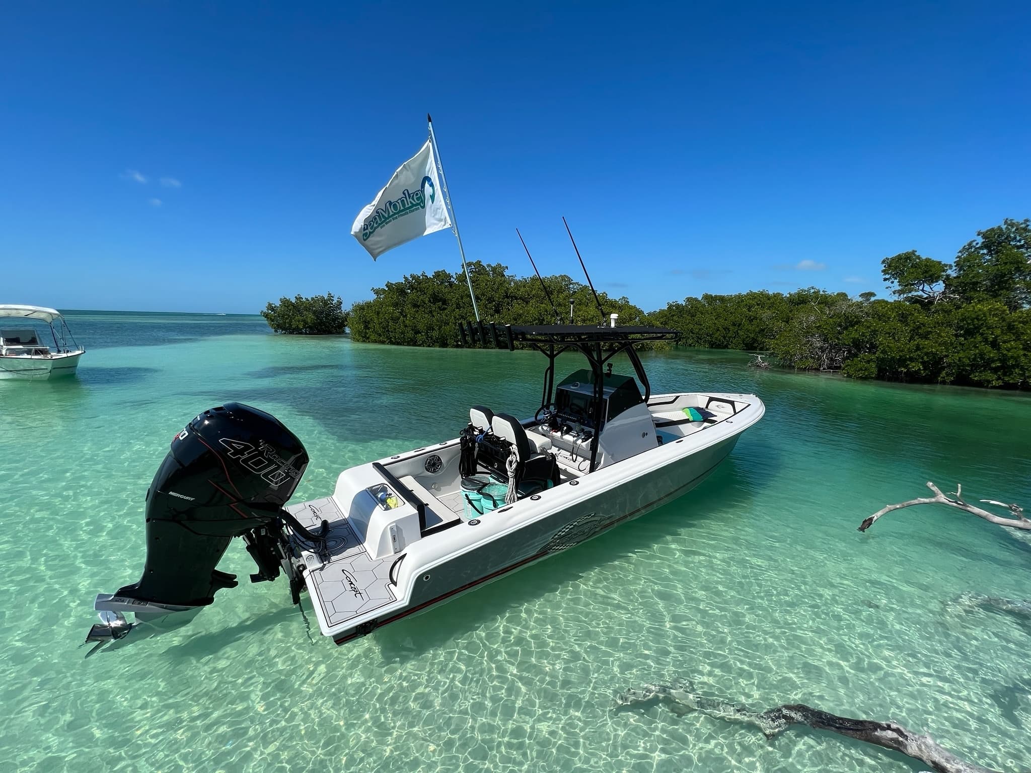 Water Activities with Adventures Key West: Snorkel & Sandbar Fun