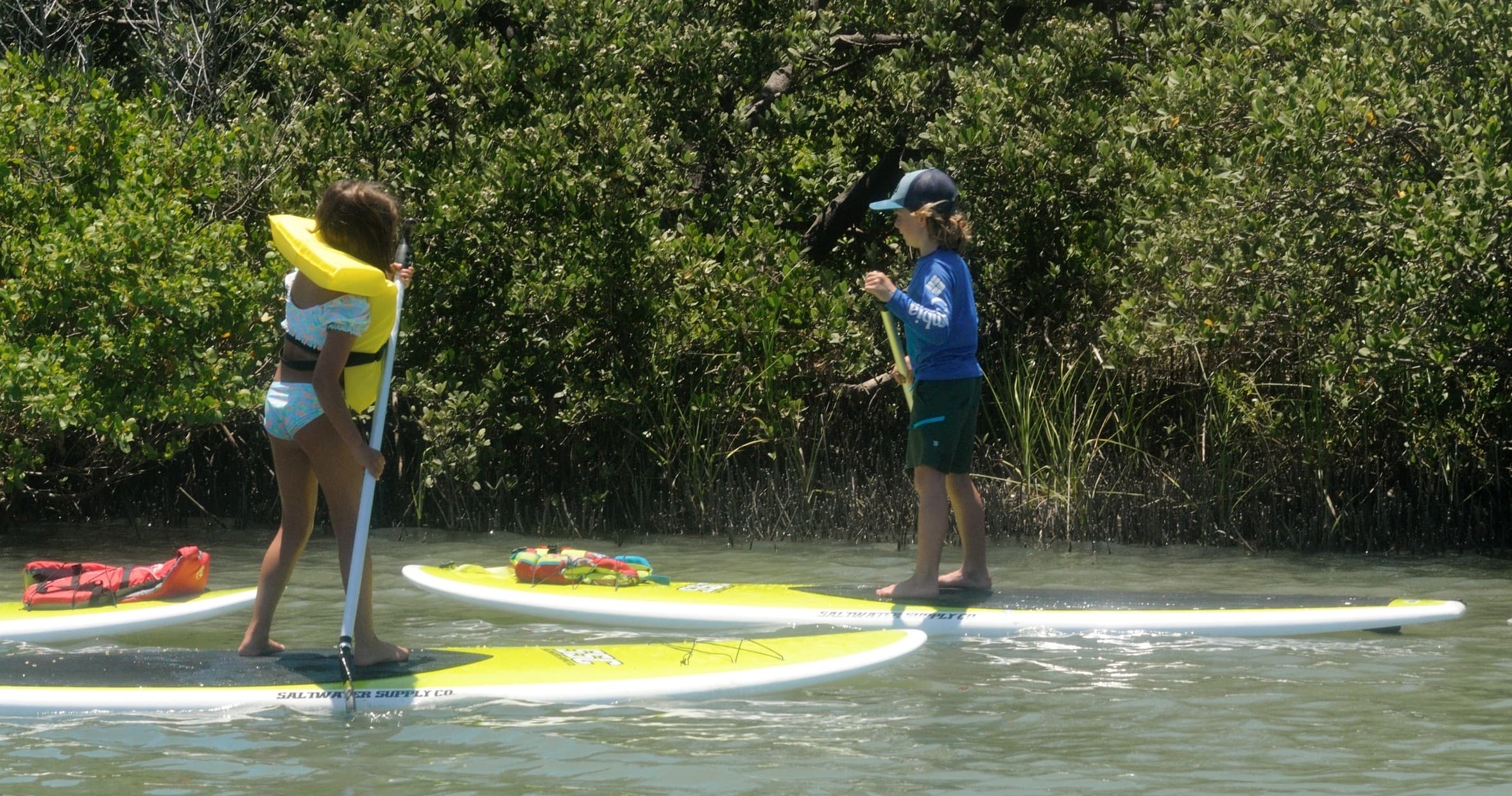 Kids stand-up paddleboarding through mangrove-lined shallow inlet
