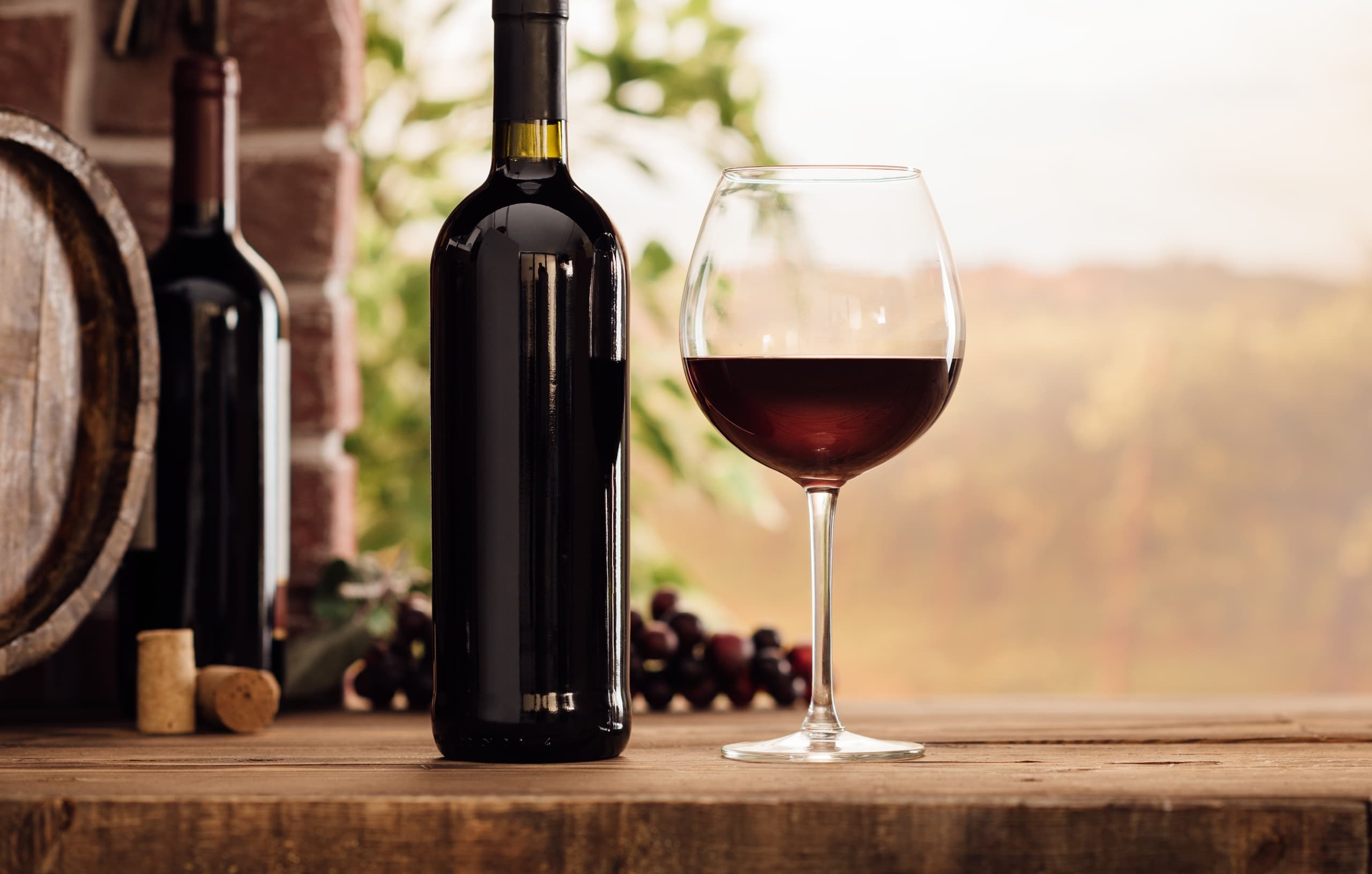 Chianti Wine Experience with Bologna Tour in Tuscany