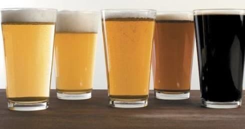 Assorted beer glasses lined up, brewery tasting flight