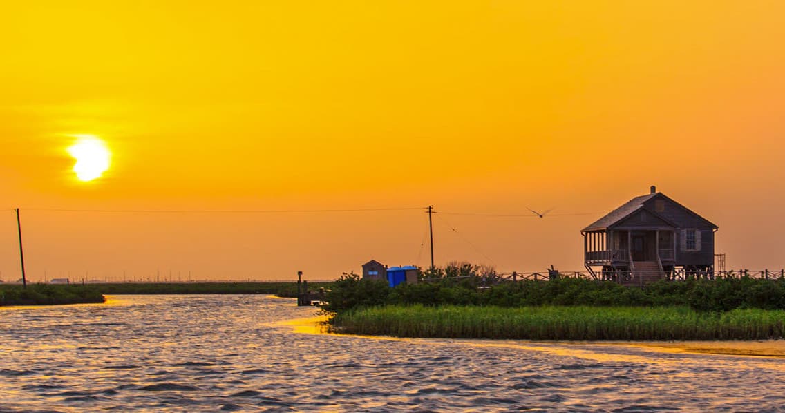 Dolphin Watch & Sunset Cruise in Port Aransas, TX