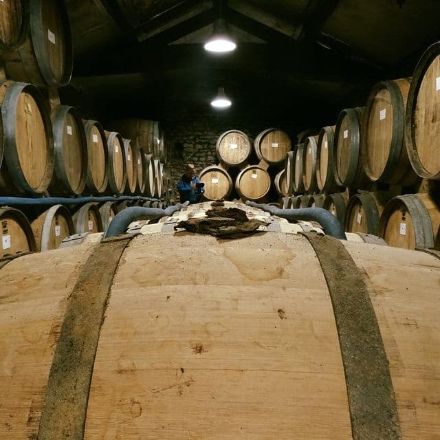 Cognac Tasting Tour fleet