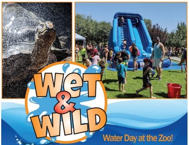 Wet & Wild Day | Zoo in Prescott | 
