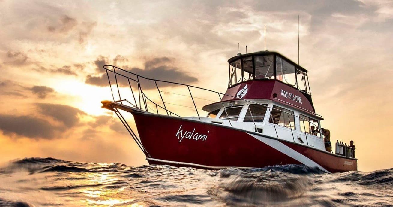 Explore Florida’s Treasure Coast: Night Dive 1 Tank Boat Trip in West Palm Beach