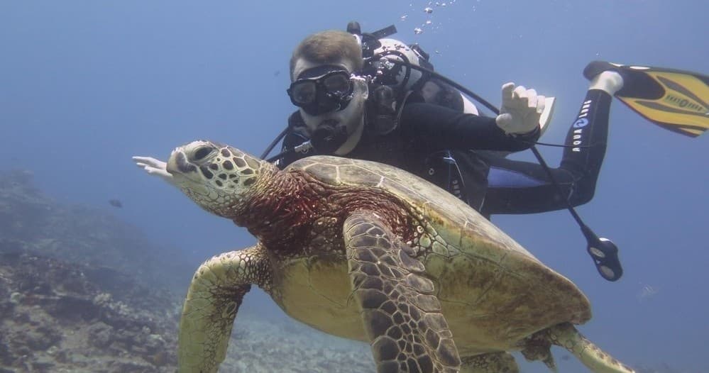 Waikiki Diving Adventure with Go Hawaii Watersports