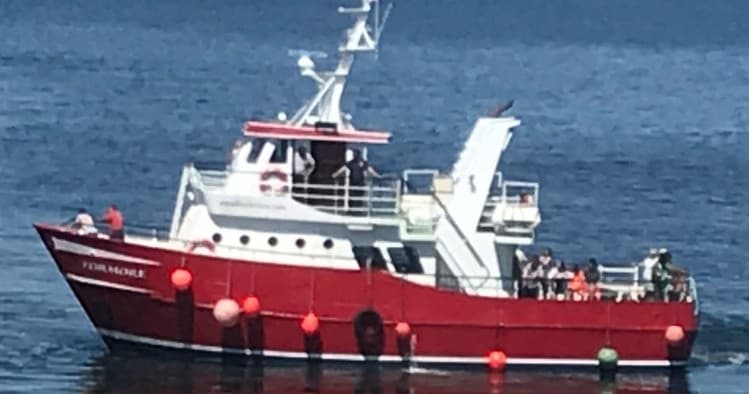 Red tour boat cruising calm sea for island and wildlife tours