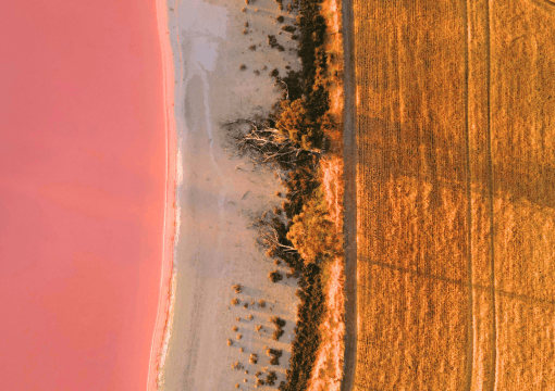 Aerial pink salt lake beside harvested fields, scenic landscape flight