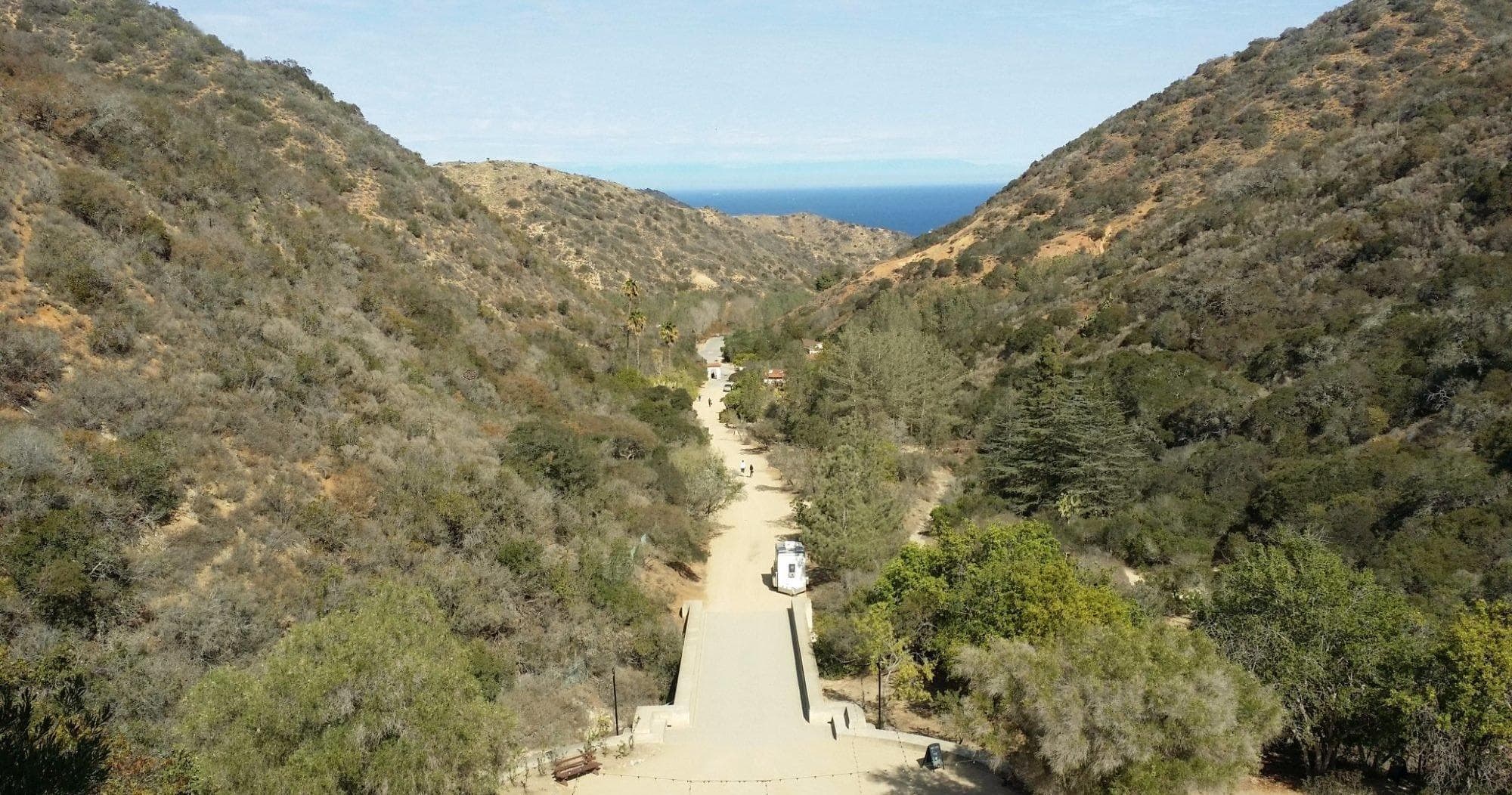 Bike Rental Adventure at Brown's Bikes on Catalina Island