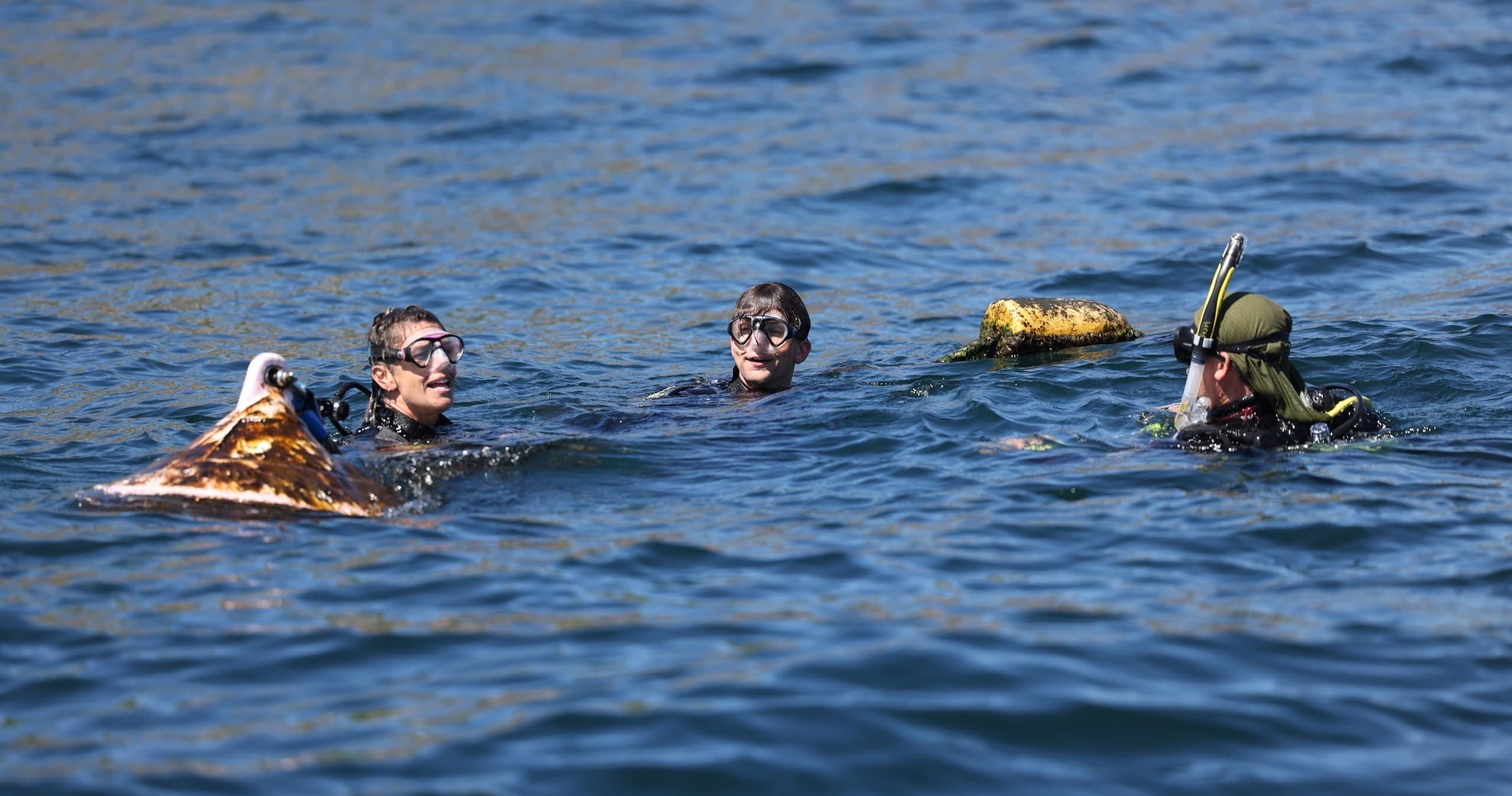 Scuba Diving Refresher at Jetty Dive Centre, Coffs Harbour