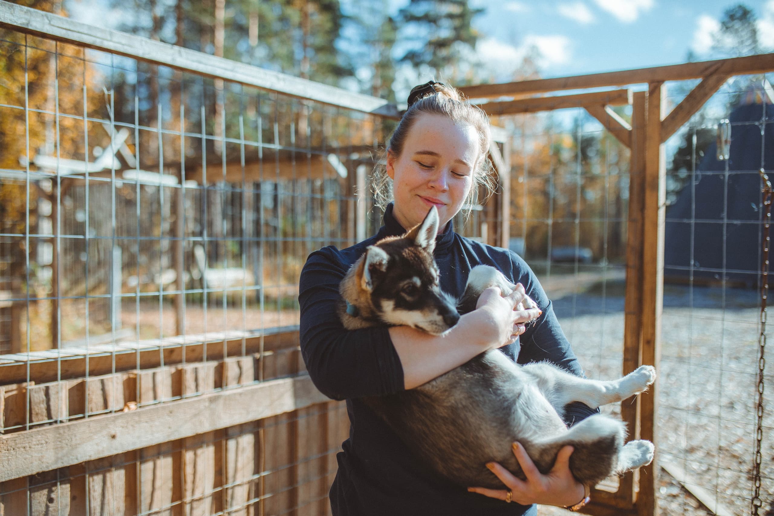 Husky Farm Experience at Apukka Resort, Finnish Lapland