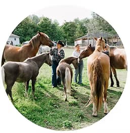 Private 1 Rider Ride: Solo One‑Hour Horseback Trail in Interlaken, NY