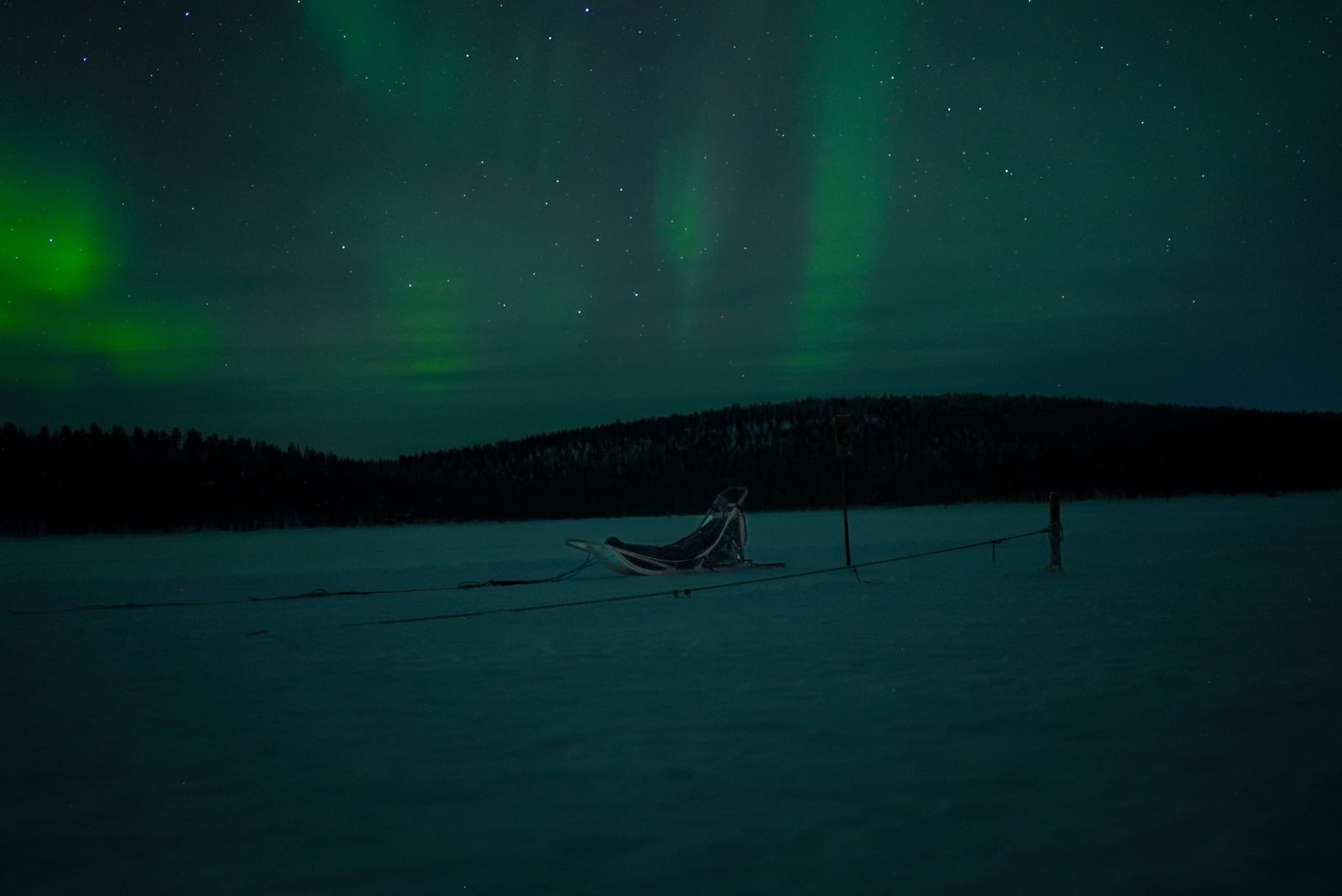 Night Walk with Taïmyr Dogs in Inari — Arctic Dog-Walking Under the Aurora photo 3