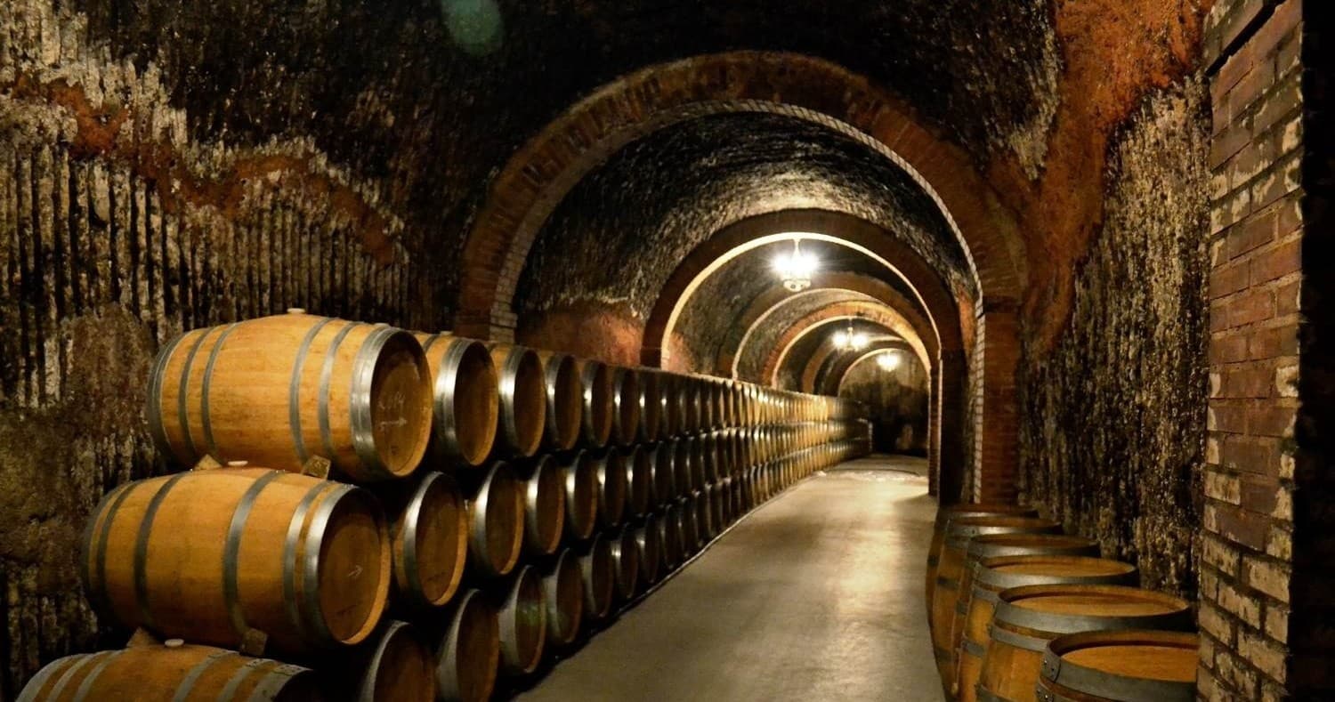 Private Ribera del Duero Wine Tour from Madrid — Underground Cellars & Tinto Fino Tastings