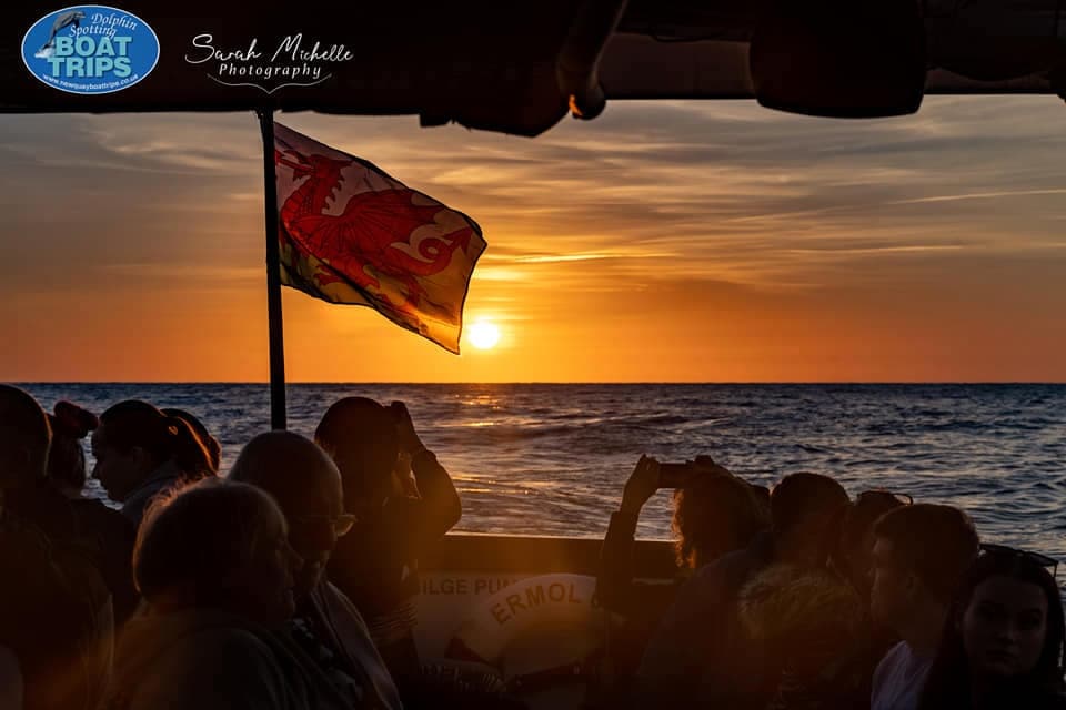1 Hour Evening Cruise on Ermol | Boat Tour in New Quay | Dolphin, Wildlife, Sightseeing Tour, Water Activities, Eco Tour