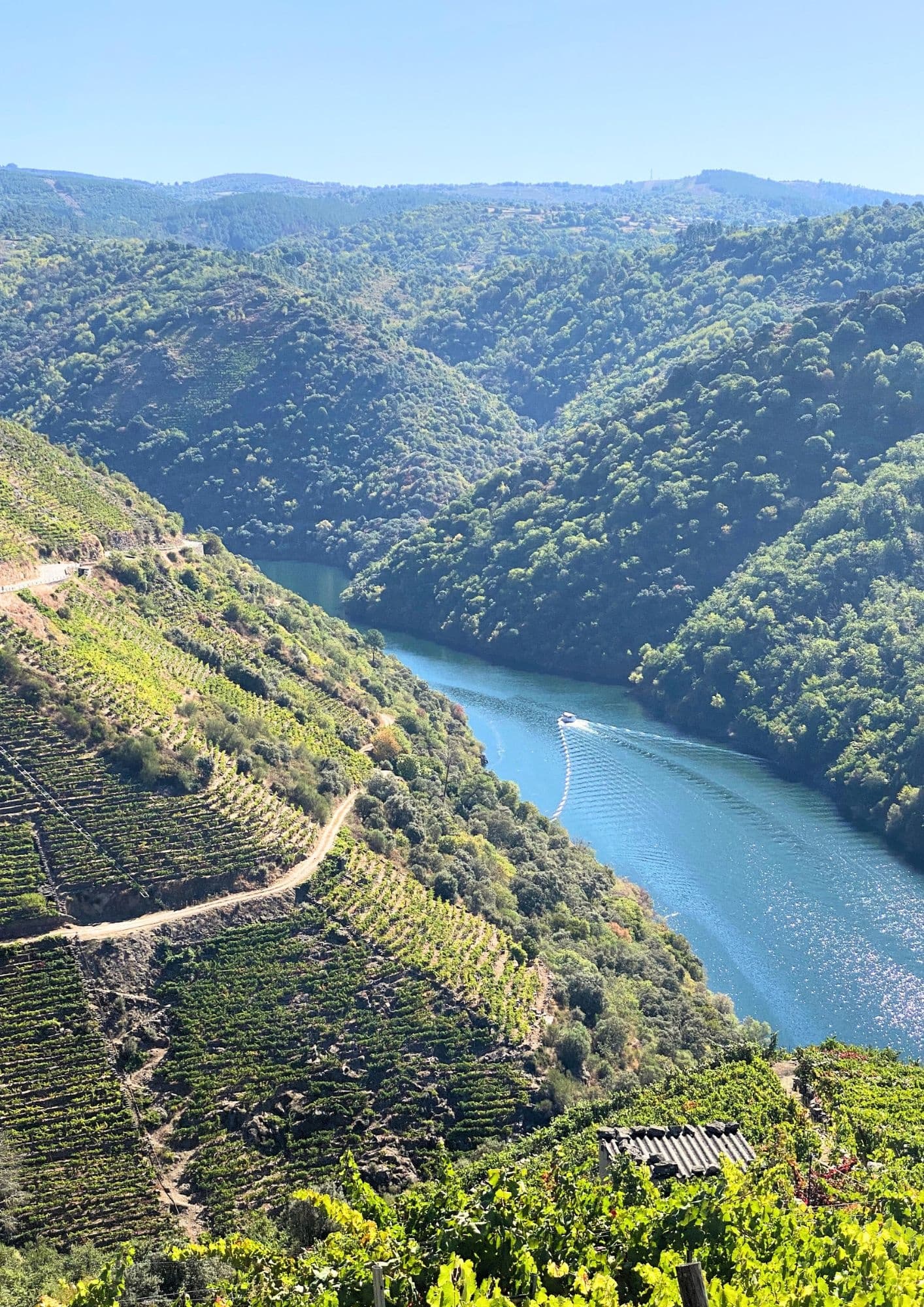 Cañón del Sil Cruise & Wine‑Paired Lunch — BARCO + COMIDA, Ribeira Sacra