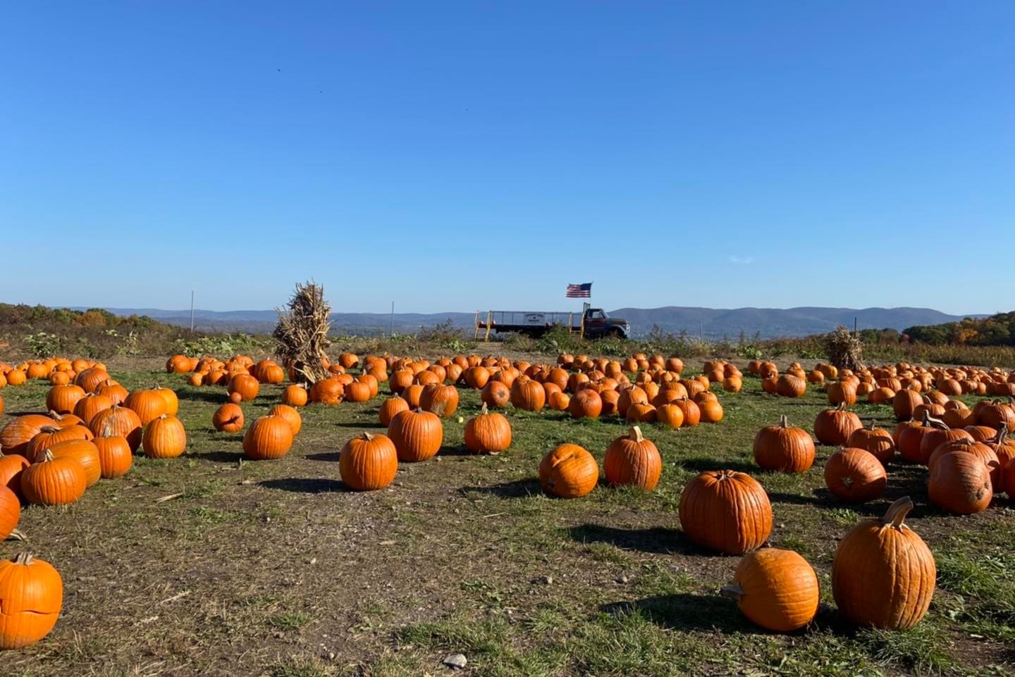 Pumpkin Picking & Farm Adventure at Lawrence Farms Orchards