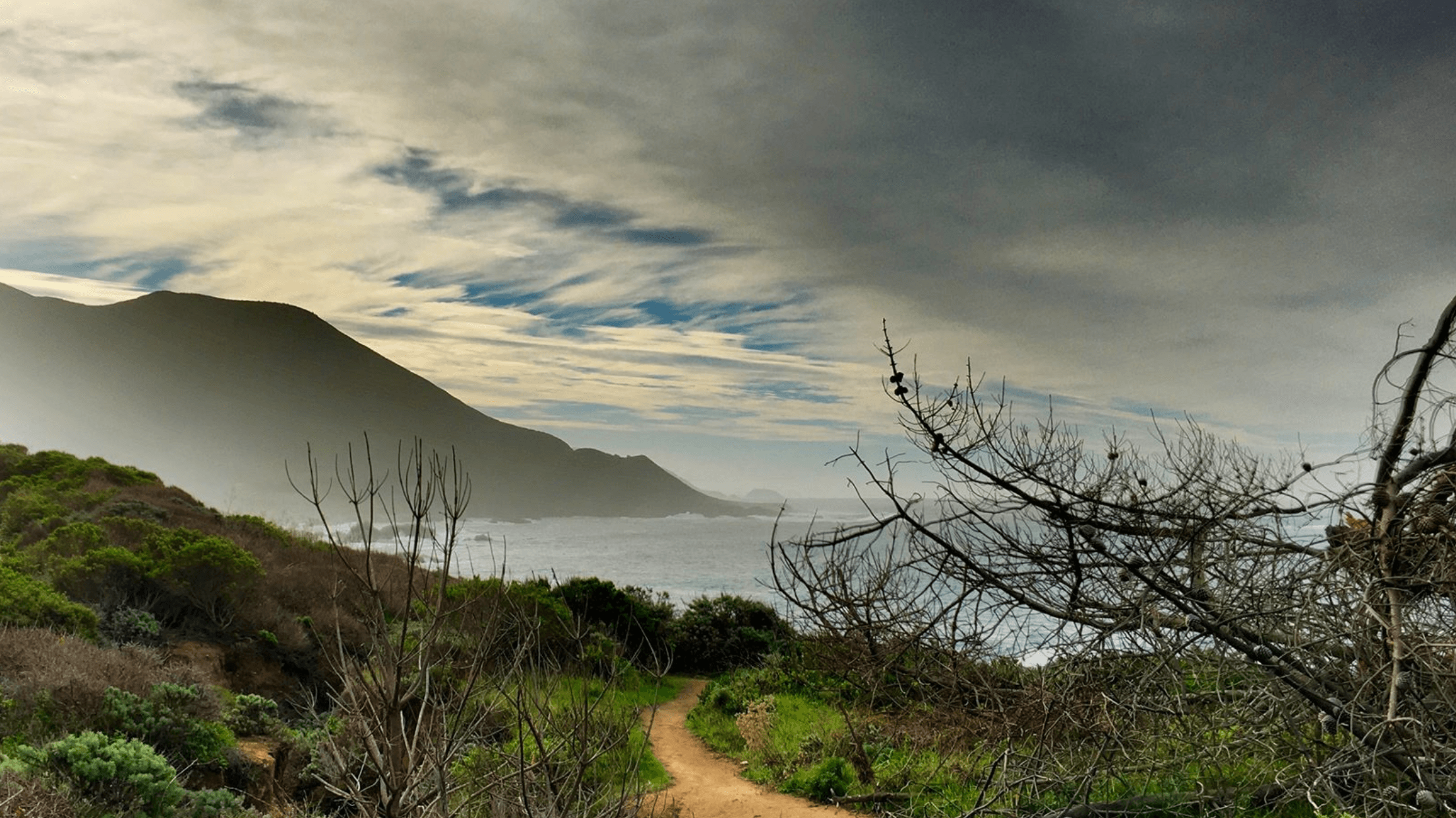 Big Sur Guided Tours: Secluded Ocean Trail Nature Walk Adventures