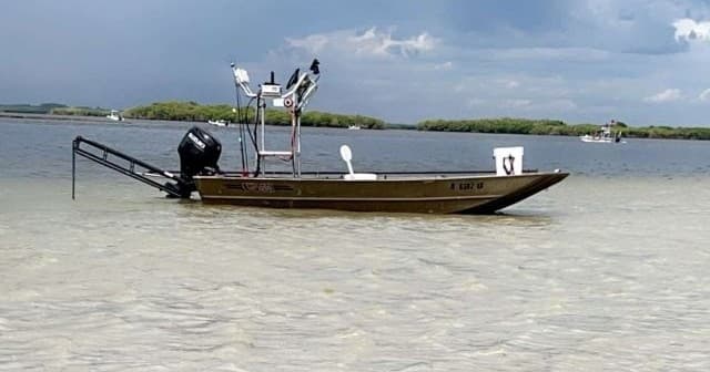 Sandbar Trip with Green Leaf Fishing Charters in Crystal River
