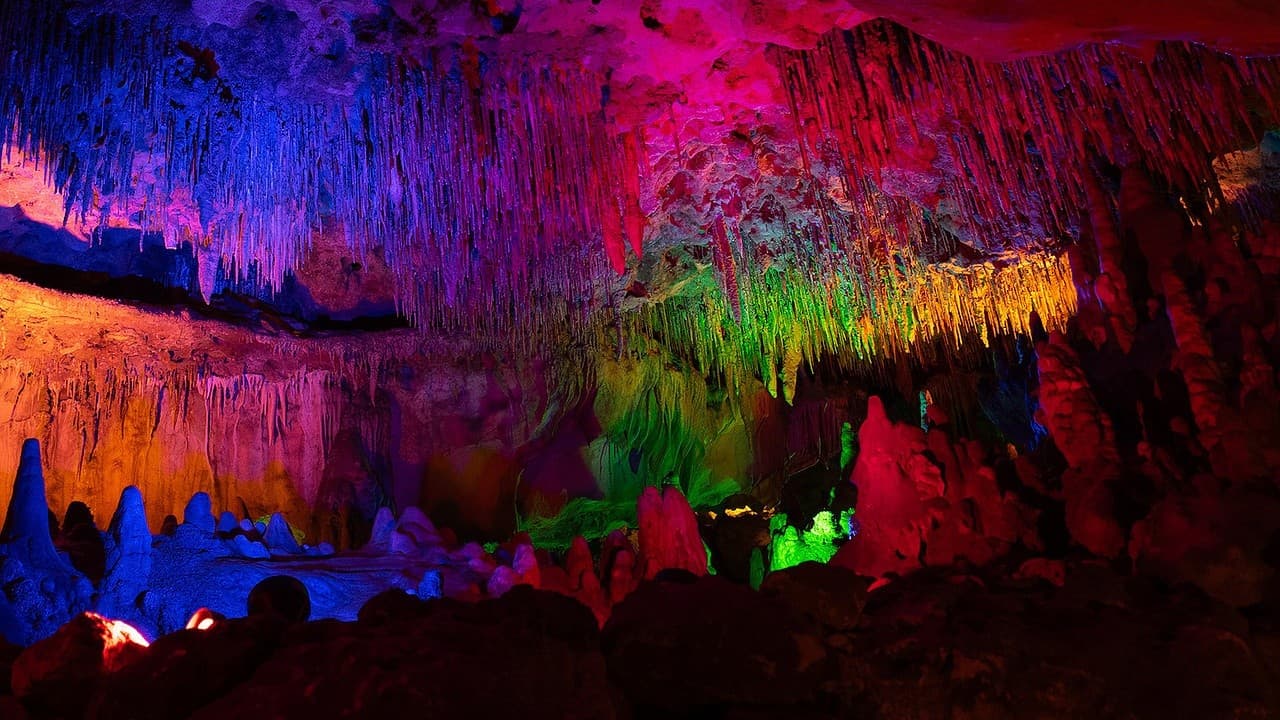 Inside Florida’s Only Public Open-Air Cave: Cavern Tour in Marianna