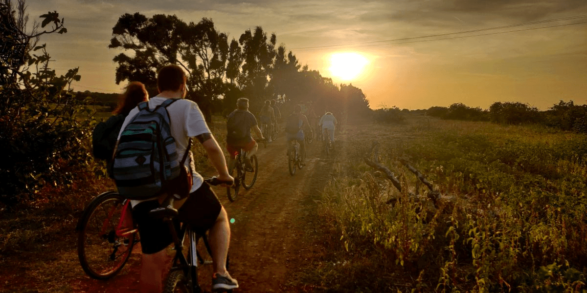 Cyclists riding dirt trail at sunset through coastal fields