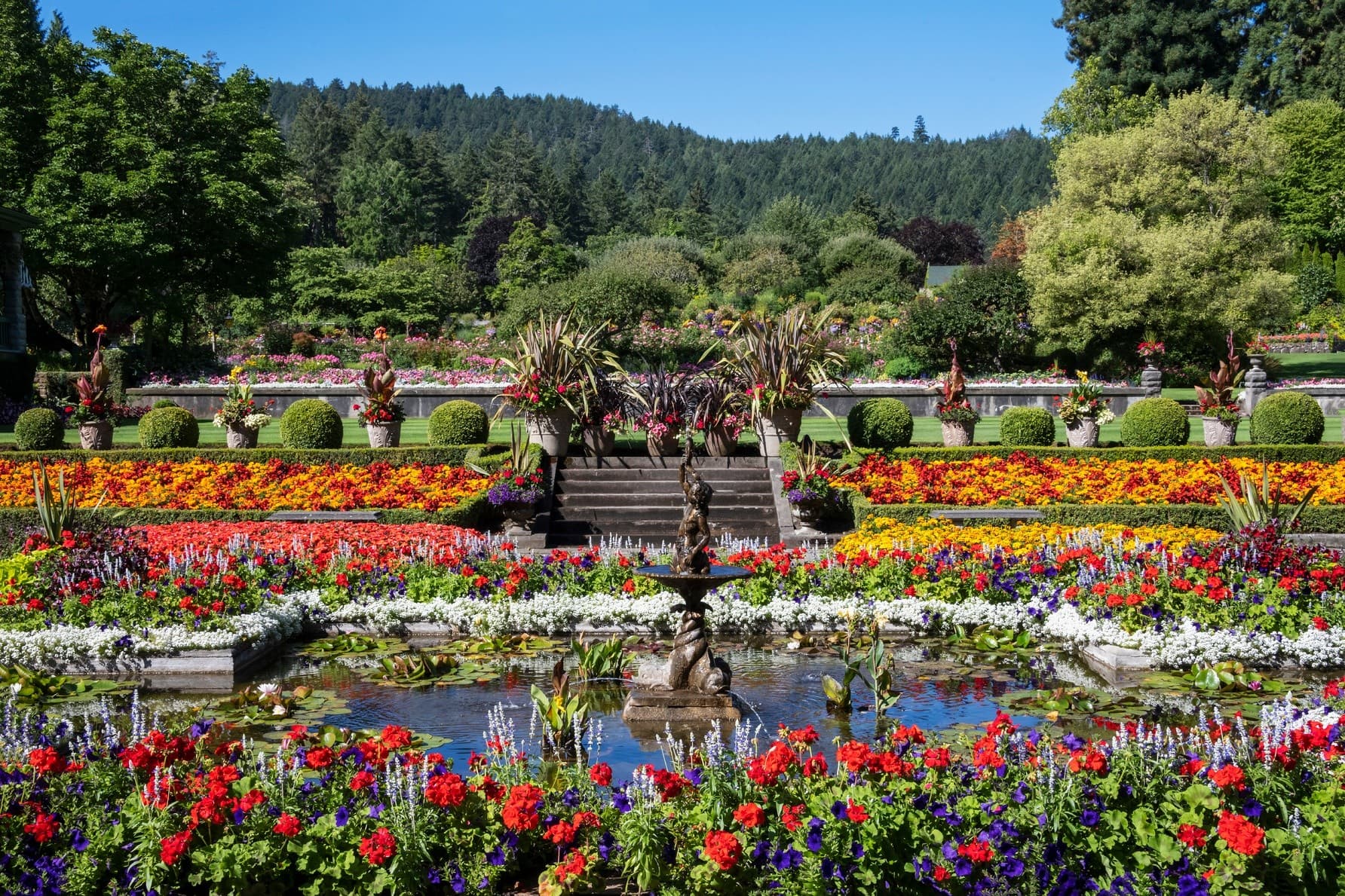 Inside Victoria: 4-Hour Guided Tour to Butchart Gardens, Beacon Hill & Inner Harbour photo 2