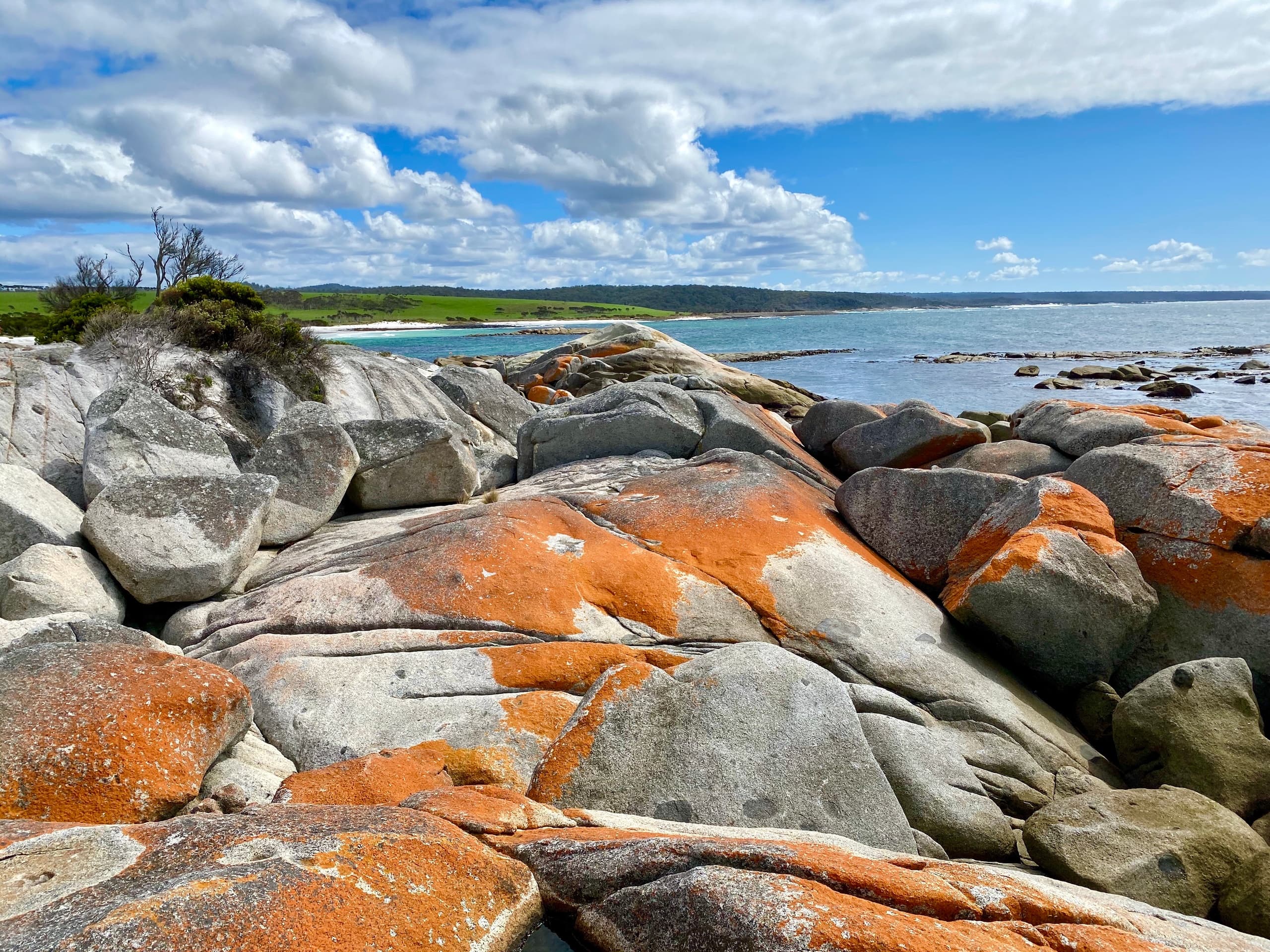 Tasmania Small Group Adventure with Premier Travel Tasmania