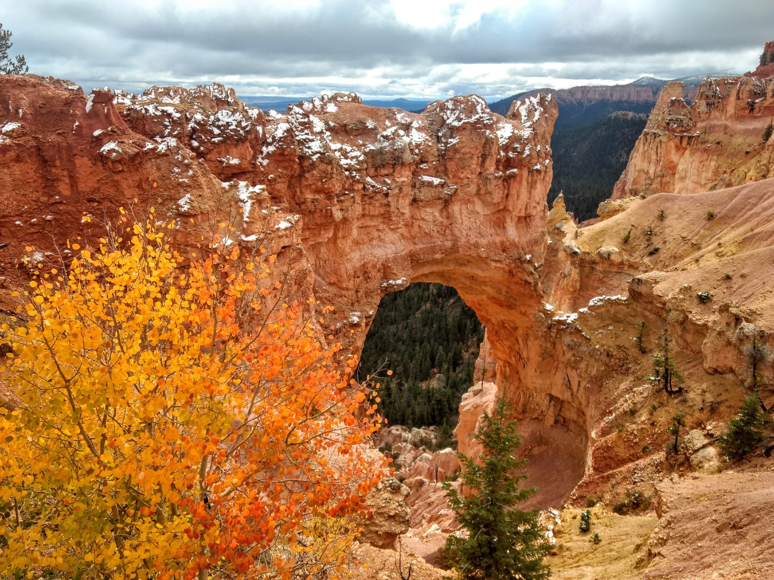 Natural arch at Bryce Canyon with autumn foliage and rock vista