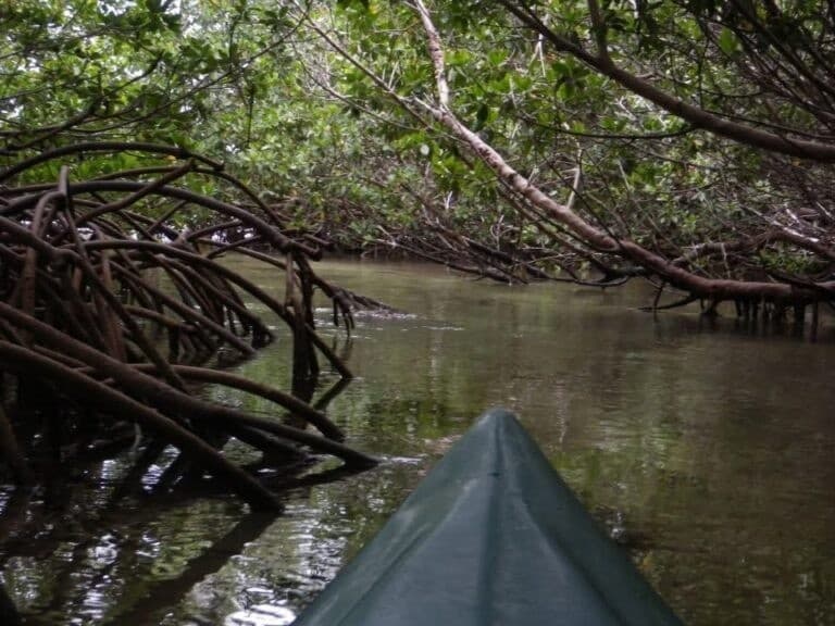 Private Sailing Cruise: 3-Hour Key West Charter Aboard Leona photo 3