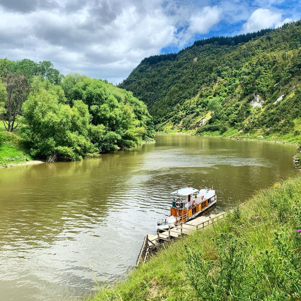 Hipango Park Cruise: Whanganui River Picnic and Bushwalk Day Trip
