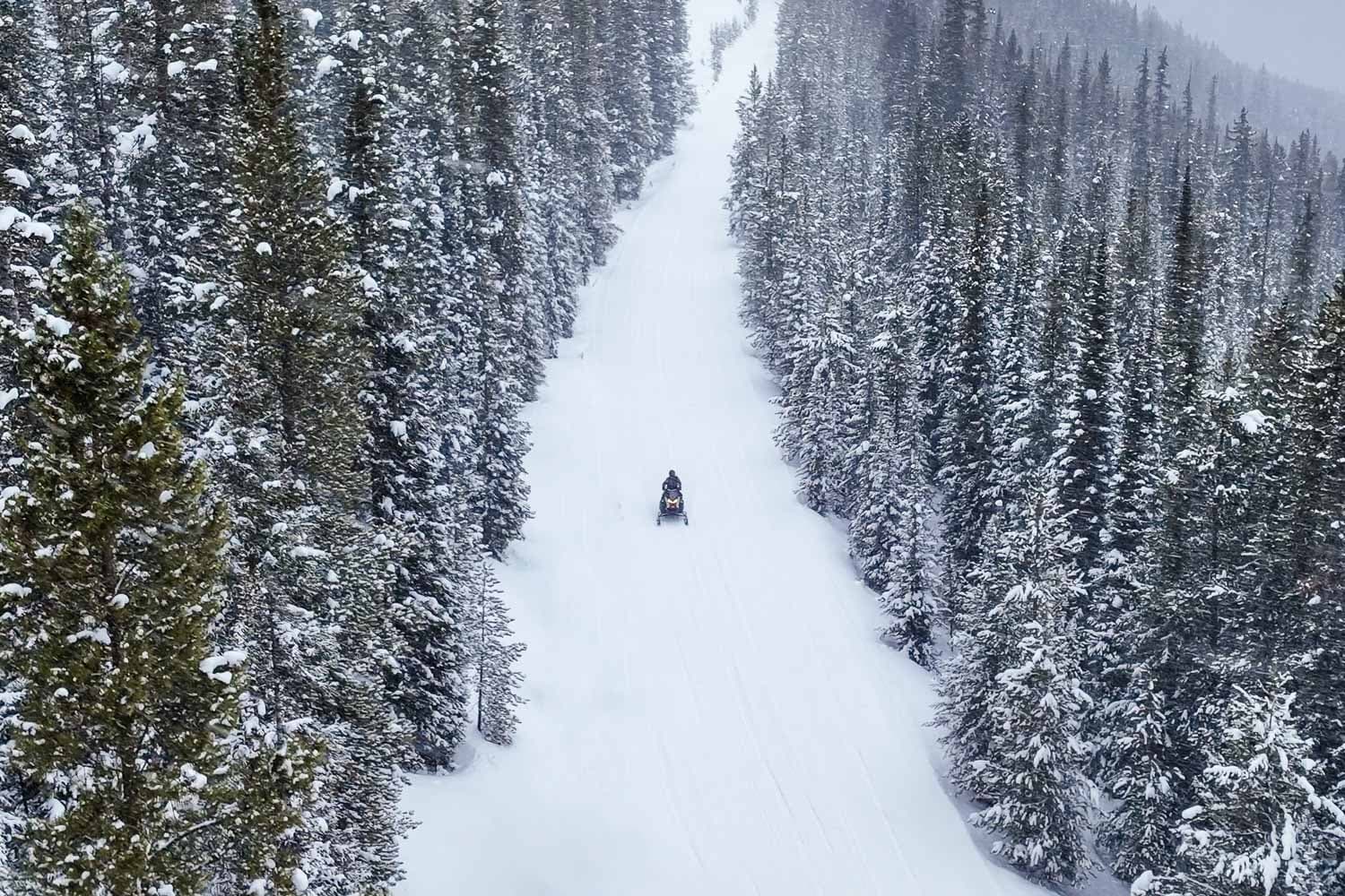 Private Summit Supreme Snowmobile Tour in Red Cliff, CO