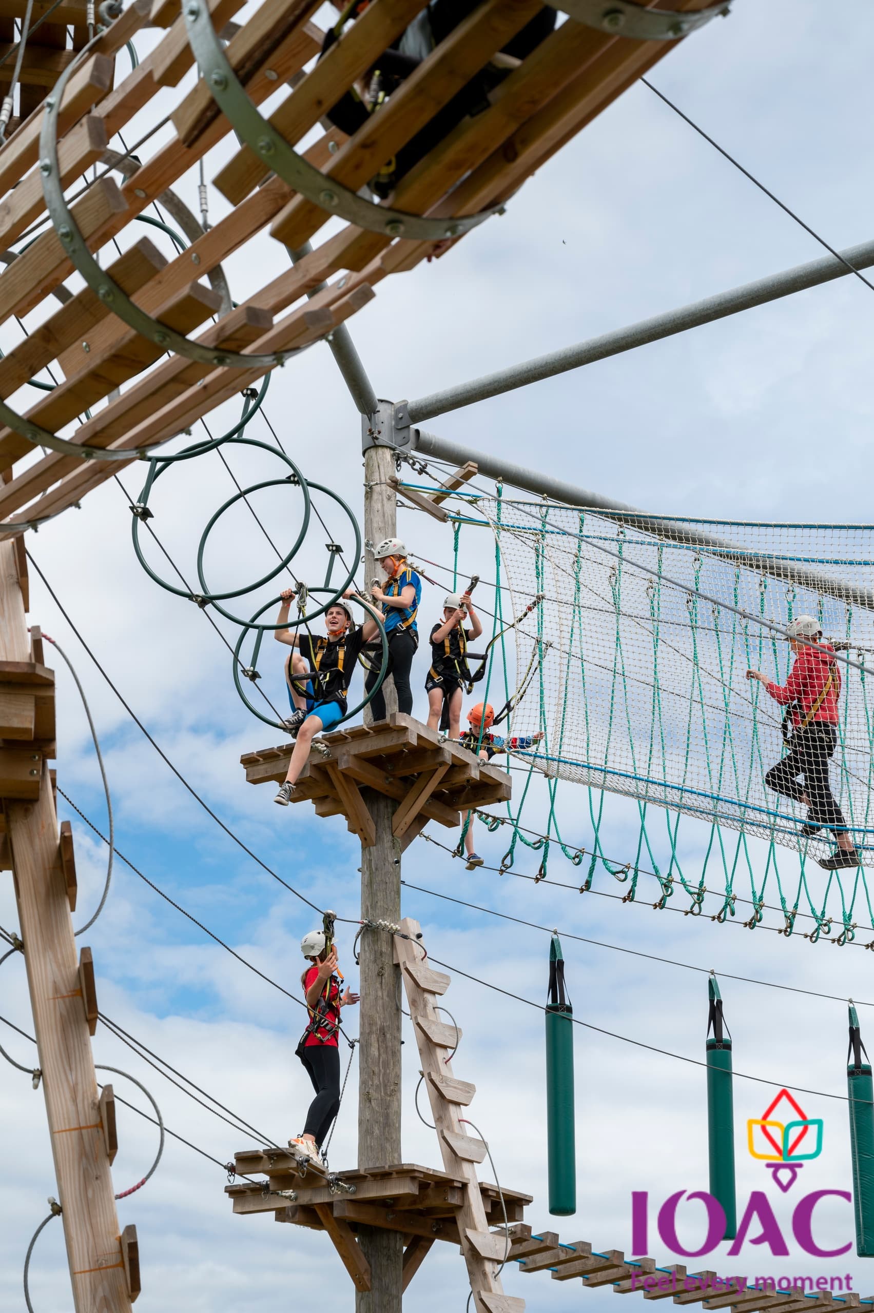 High Ropes Tagoat Wexford: 1-Hour Aerial Course for Ages 8+ photo 4