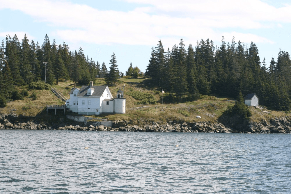 Land Adventures with Schooner American Eagle in Penobscot Bay