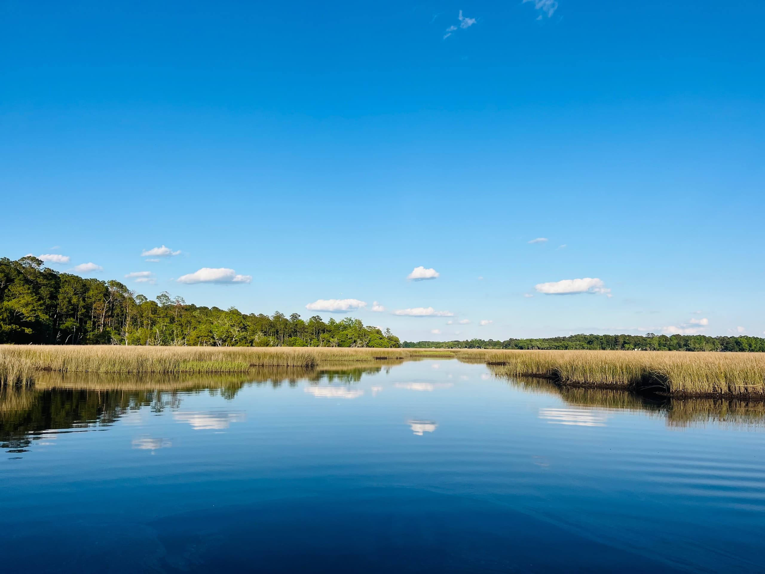 Lowcountry Sunset Cruise: Private Sunset Boat Tour on Johns Island photo 4