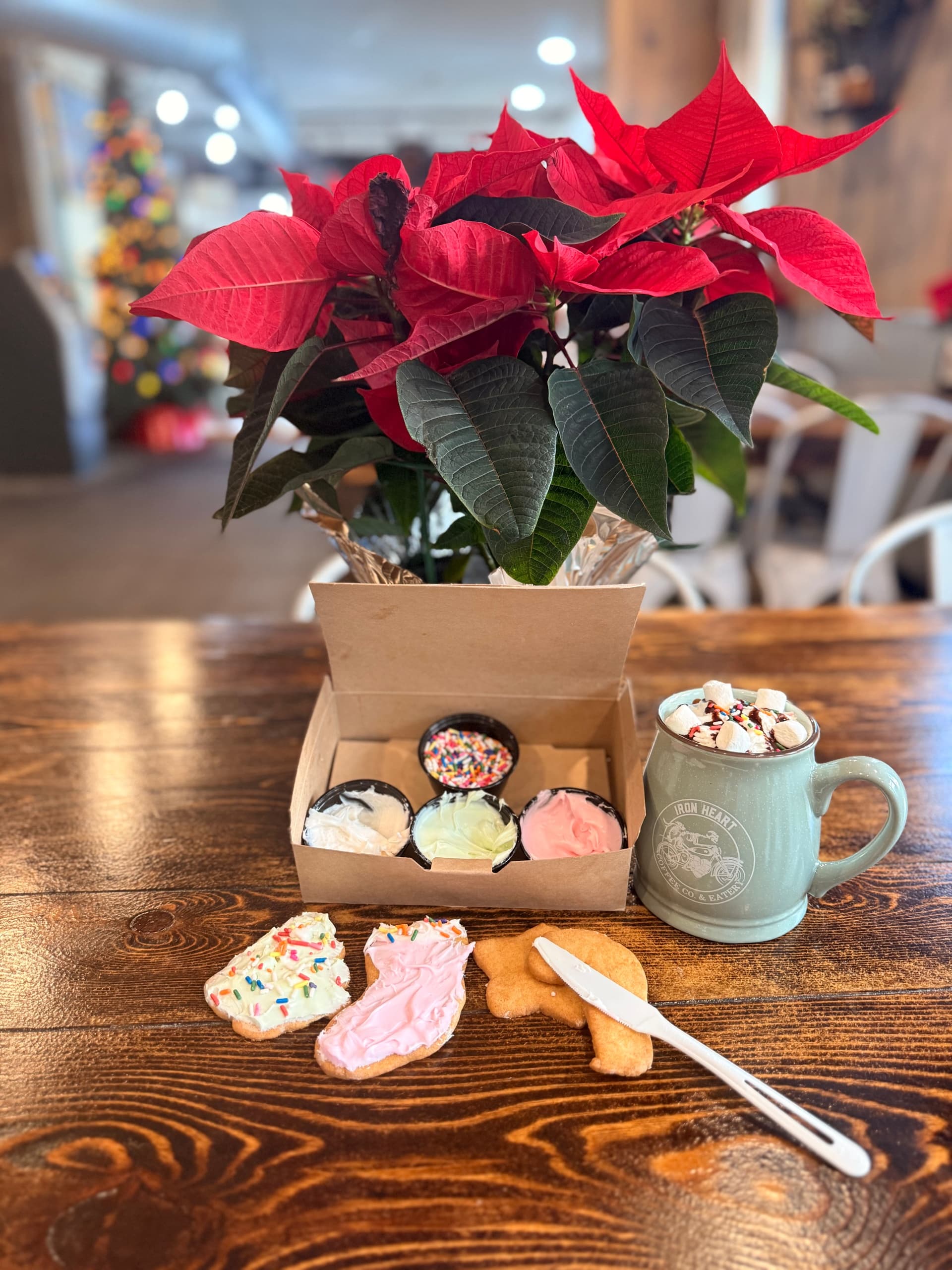 Cookie Decorating Kit in Geneva, NY — Sip, Snack, Decorate