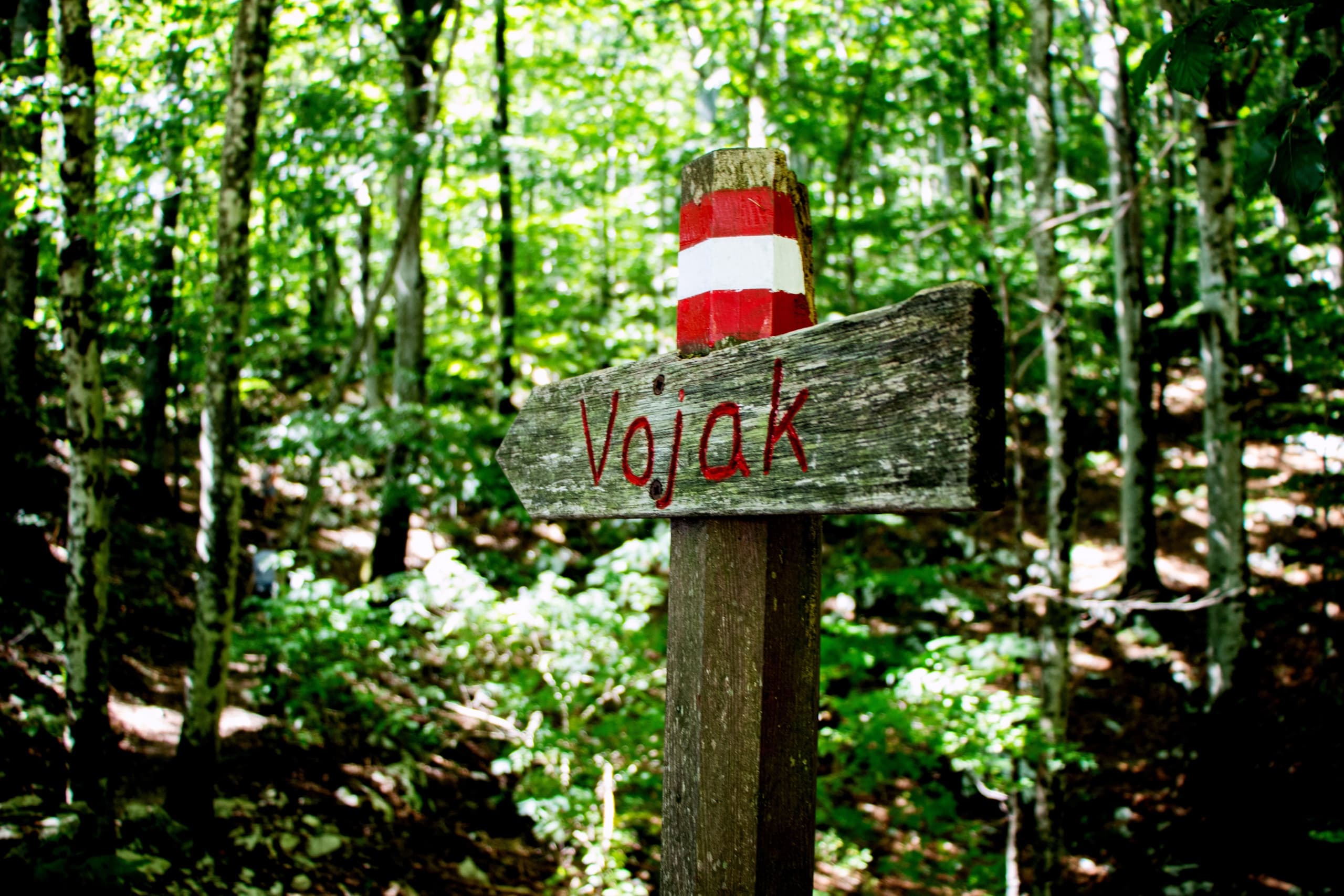 Hiking Učka Nature Park: Vojak Peak Day Hike from Rovinj photo 3