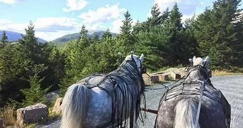 The Day Mountain Summit Tour in Bar Harbor, Maine