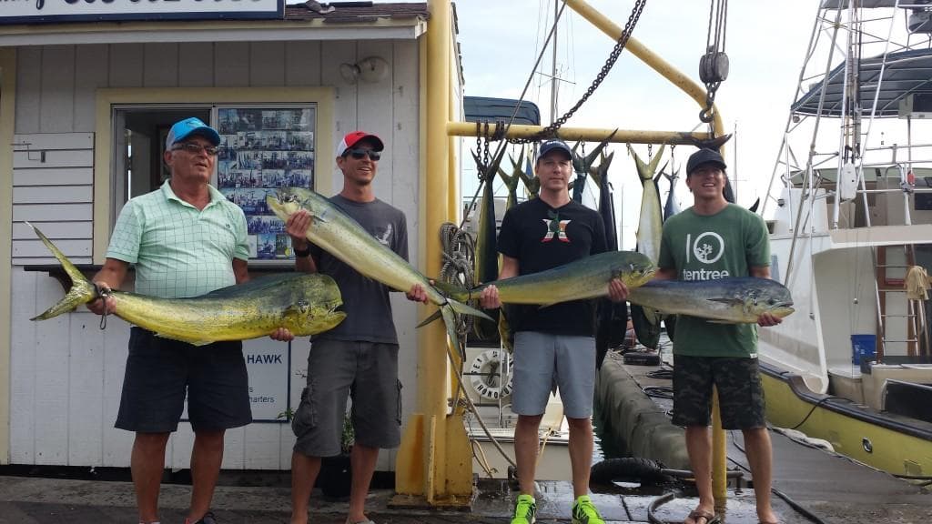 Fishermen holding mahi mahi catches on marina dock after charter