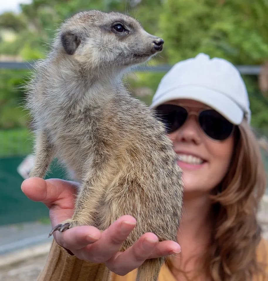 Wildlife Nature & Meerkat Encounters at Wings Wildlife Park
