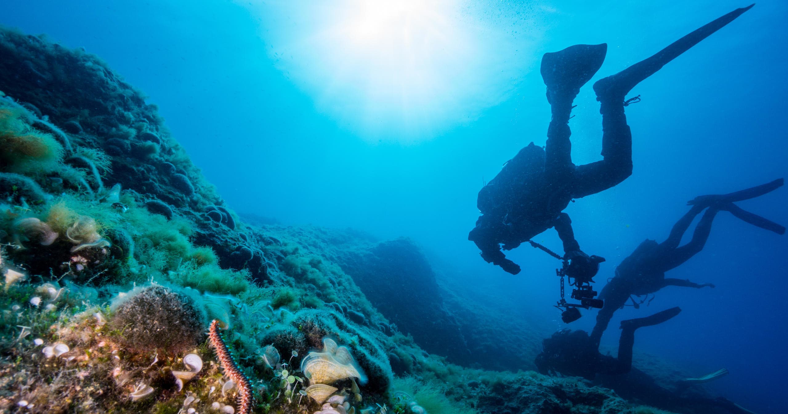 Water Activities at Blue Adventures Diving Ltd: Two-Day Dive Experience
