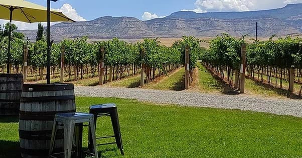 Grand Valley Winery Tour with Grand Valley Grapes and Grains Adventures