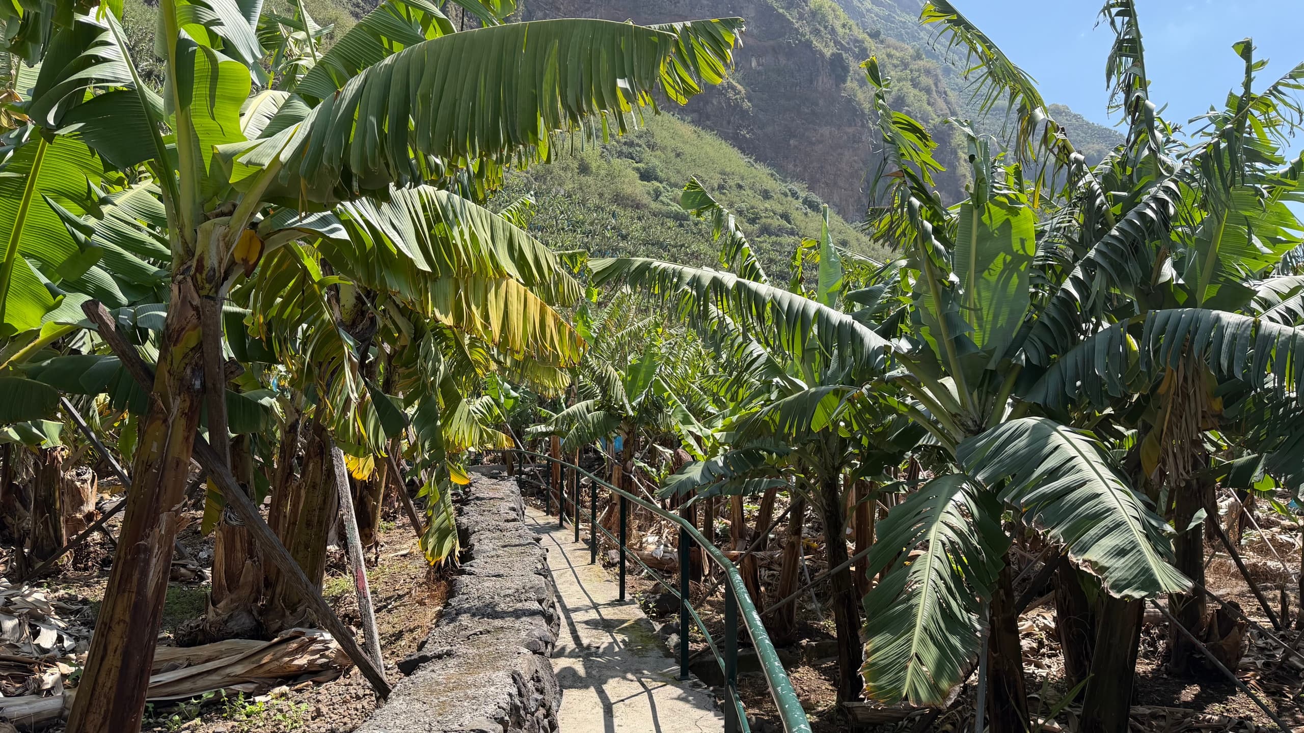design-your-perfect-day-in-madeira-private-van-tours-from-santa-cruz photo 3