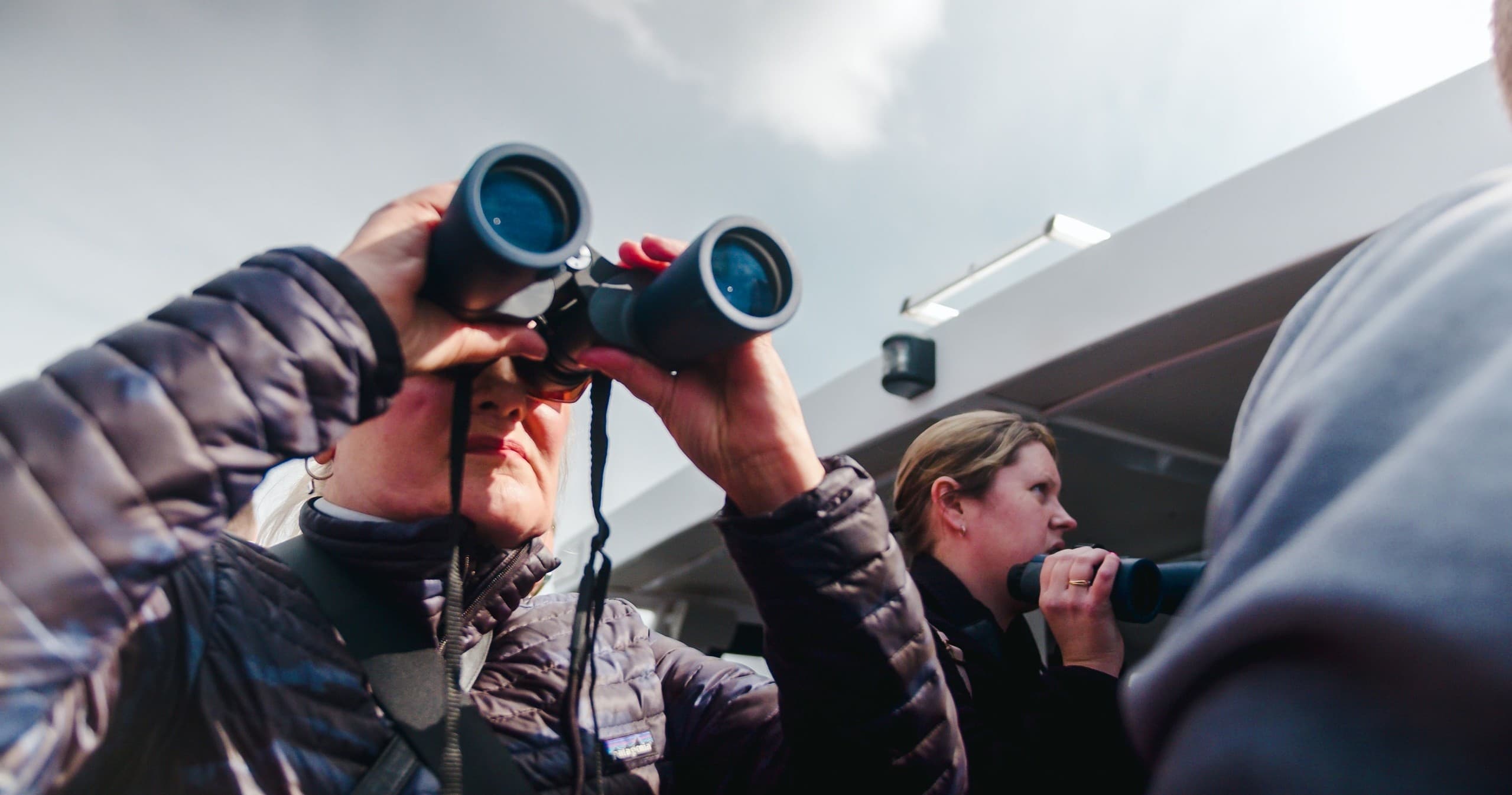 Newport Seal & Lighthouse Tour by Seal Watch Tours