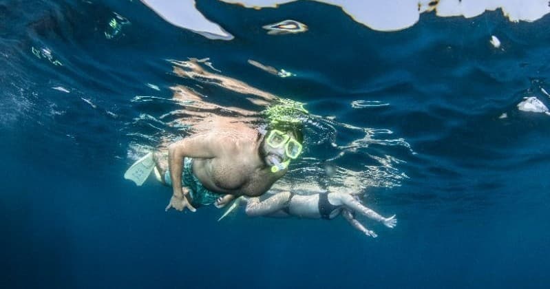 Catalina Island Snorkel Rentals: Mask, Snorkel & Fins in Avalon