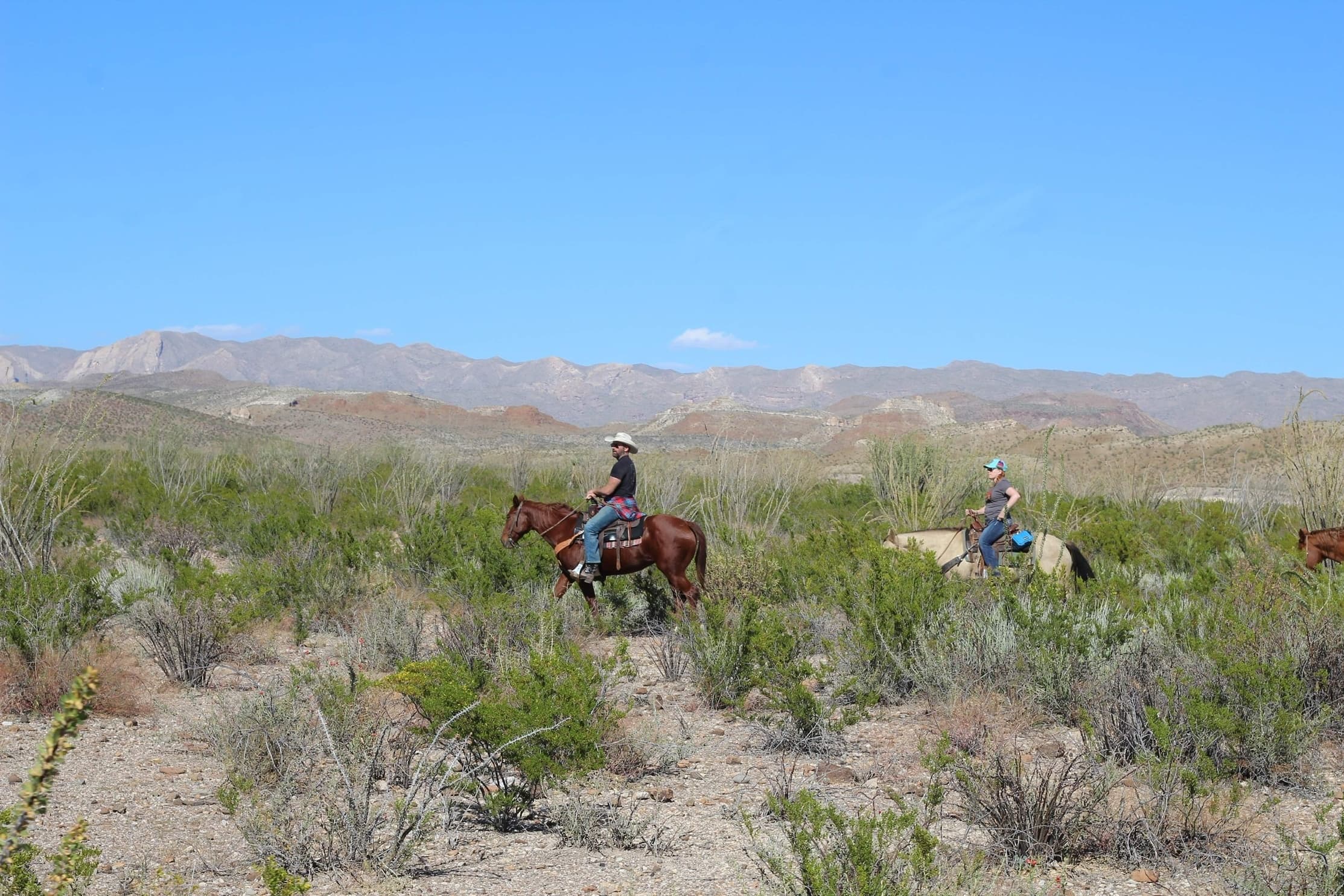Ranch Horseback Ride at Big Bend Lajitas Stables in Texas