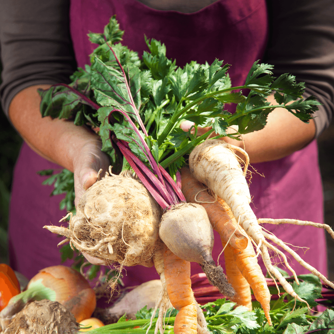 Farm & Food Tours with Algarve Farm-to-table Experience