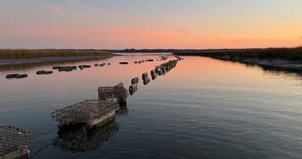 Inside an Oyster Farm: Group Farm Tour in Seabrook, South Carolina photo 2