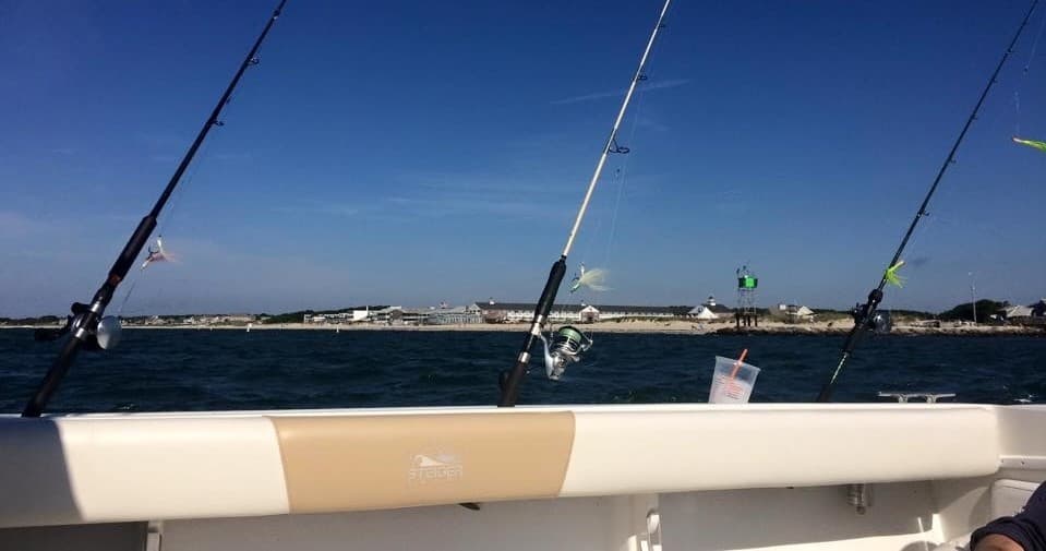 Water-Activities & Sea Dog Fishing in Cape Cod Bay
